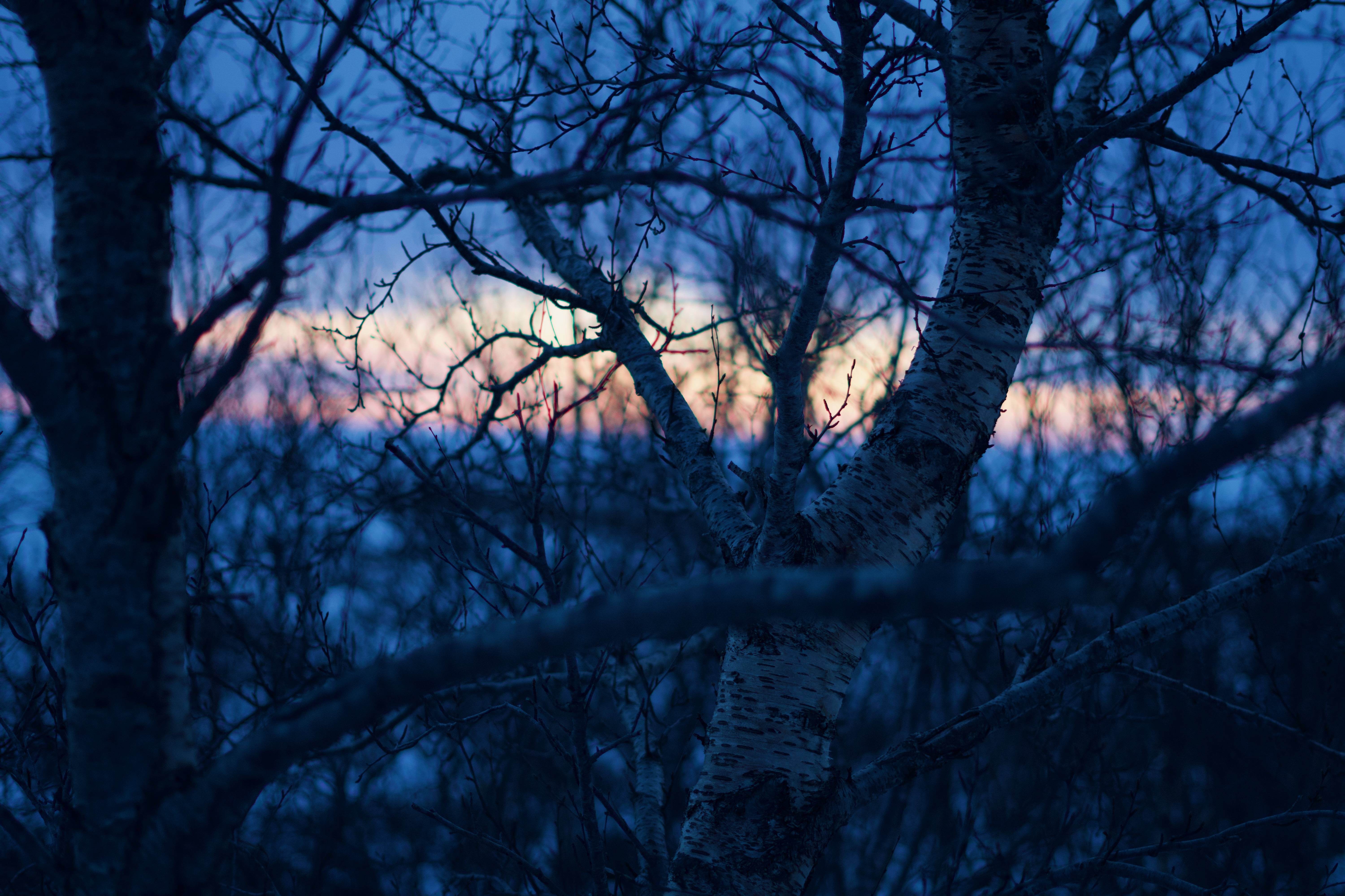 Visual principal servicios